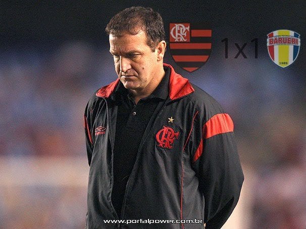 Flamengo no Brasileiro 2009