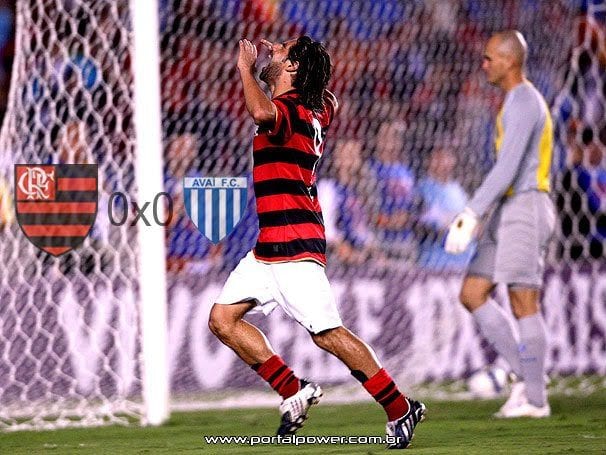 Flamengo no Brasileiro 2009