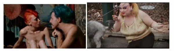 Os 15 filmes mais bizarros da história do cinema 13 Pink Flamingos