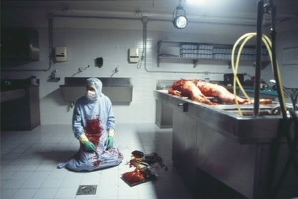 Os 15 filmes mais bizarros da história do cinema 5 Aftermath