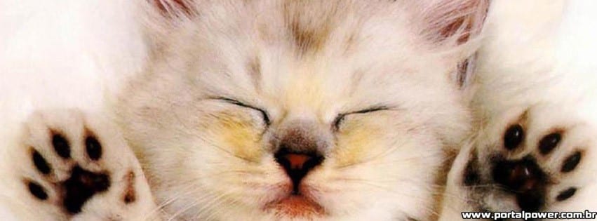 capa-gato-olhinhos capa-gato-olhinhos