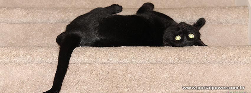 capa-gato-preto-10 Capa gato preto para facebook