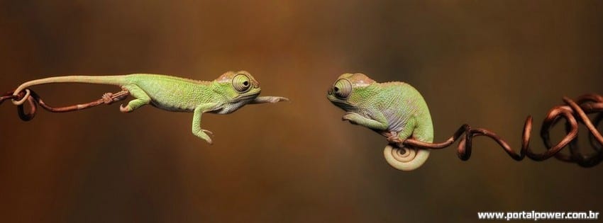 Capa-linda-Facebook-14 Capa-linda-Facebook-14