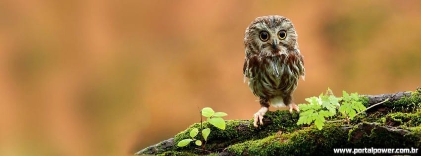 Capa-linda-Facebook-34 Capa-linda-Facebook-34