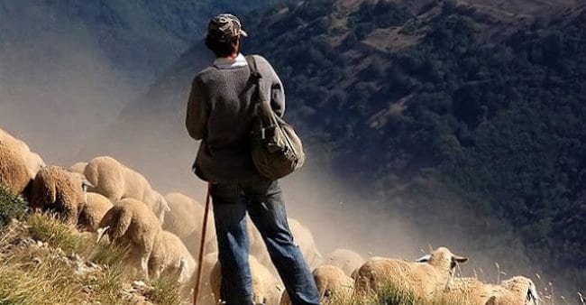 Até que ponto confiar em seu Pastor? 1 Pastor