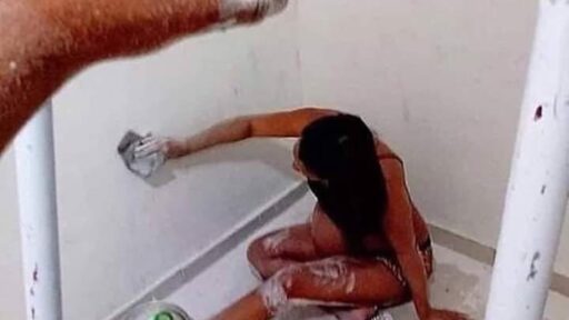 Amizade-e-companheirismo