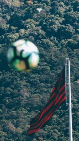 PAPEL PAREDE FLAMENGO CELULAR 3 jpg