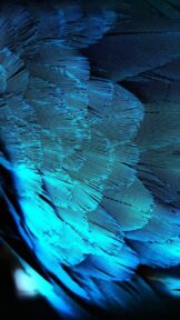 Papéis de parede do iPhone 11- Wallpapers Mobile 18 iPhone-11-Wallpapers-22-scaled