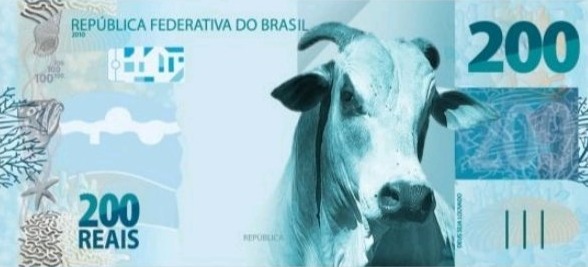 Boi de 200 reais