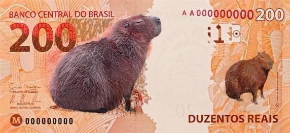 capivara de 200 reais