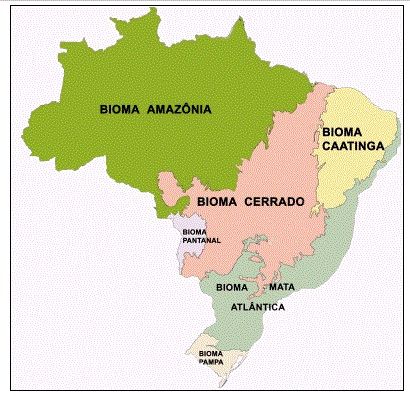 Biomas brasileiros no mapa Biomas brasileiros no mapa