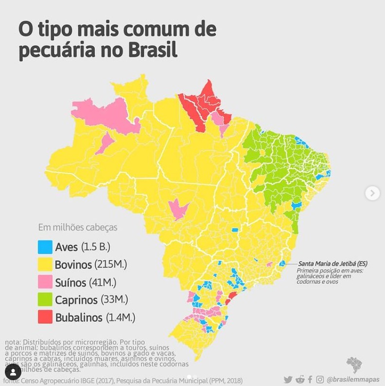 Pecuária no Brasil Pecuária no Brasil