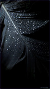 Os Melhores Papéis de Parede do iPhone 13 wallpapers em HD para Android, iOS e PC 1 iPhone HD Wallpaper