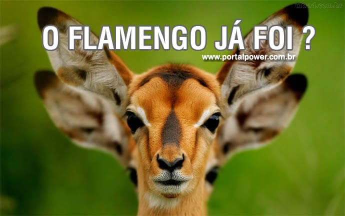 Zoar Sao paulo bambis zuando sao paulo