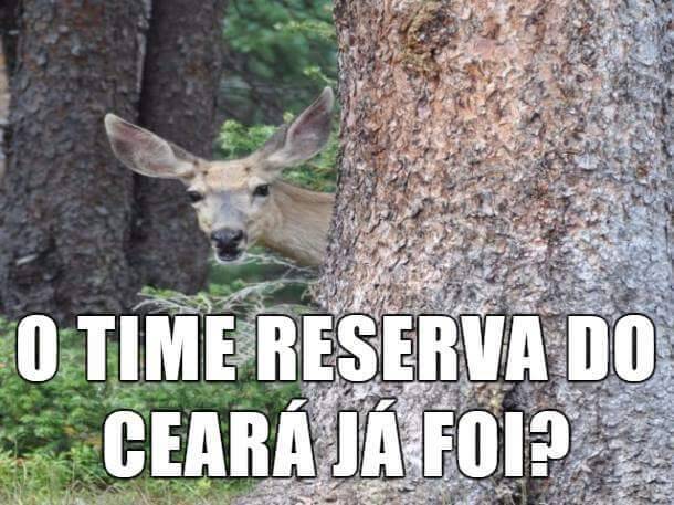 Zoar Sao paulo bambis zuando sao paulo