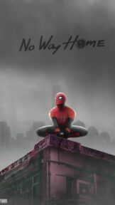 Homem-Aranha: Sem Volta para Casa - Papel de parede Android, IOS e PC 41 Homem Aranha Sem Volta para Casa Spider Man No Way Home Wallpaper
