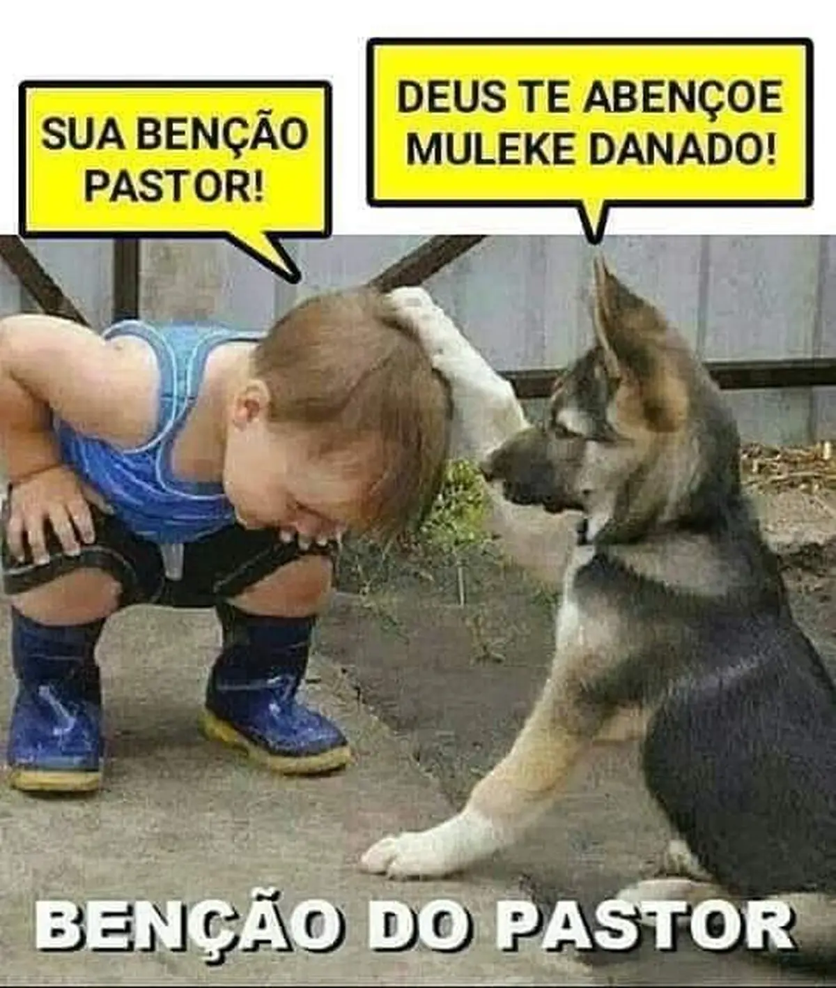 Bencao do Pastor Bencao do Pastor