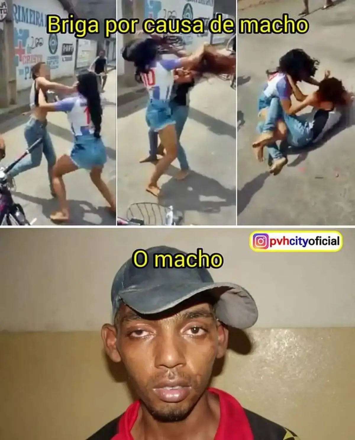 Briga por macho O macho
