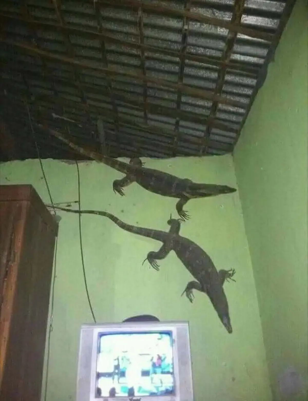 Mais um dia normal no Acre