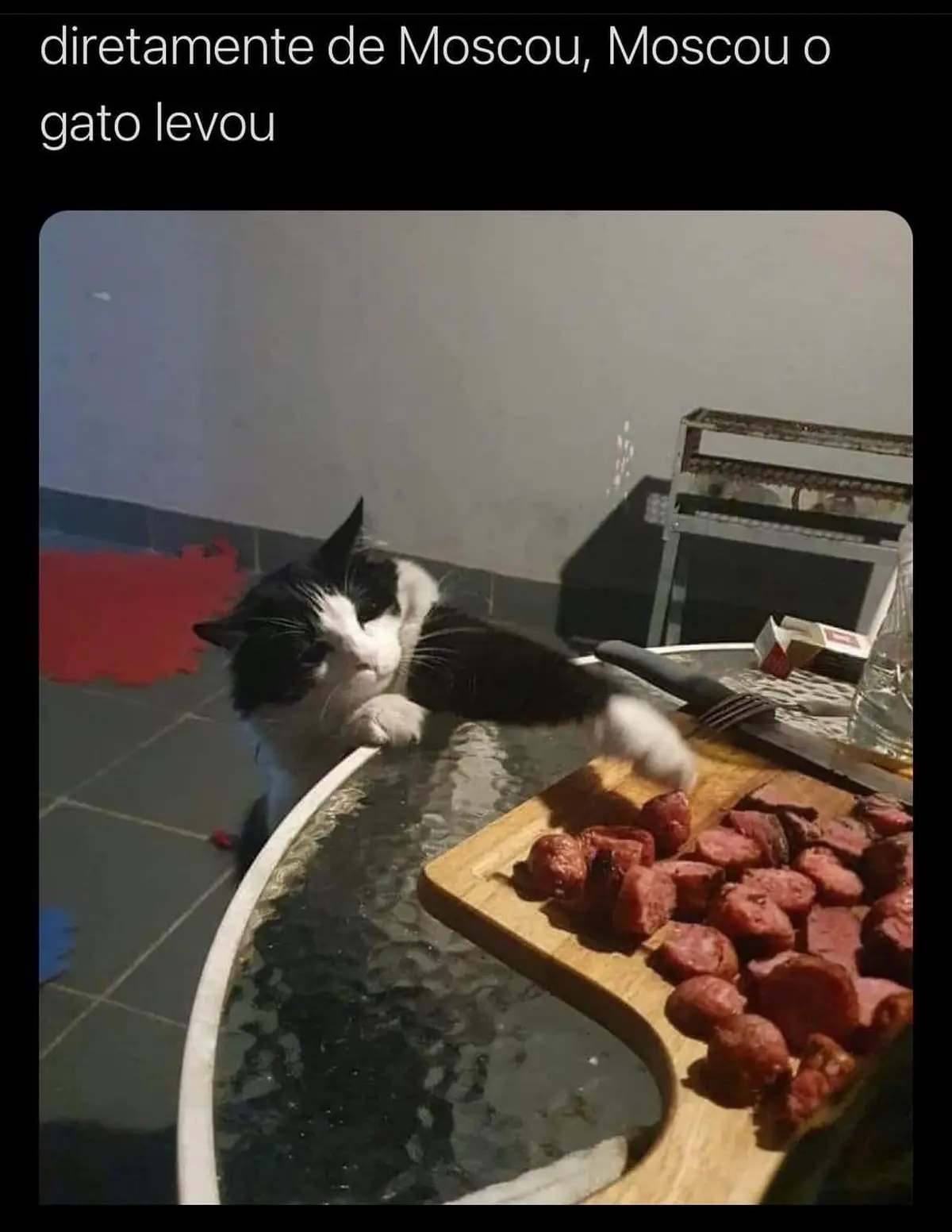 Moscou o gato levou