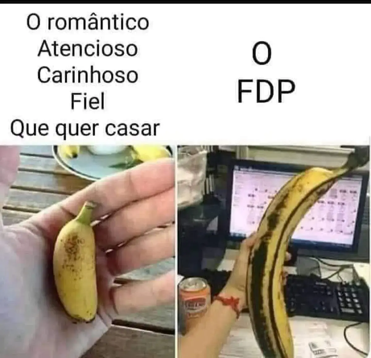 O romantico atencioso carinhoso e fiel que quer casar e o fdp