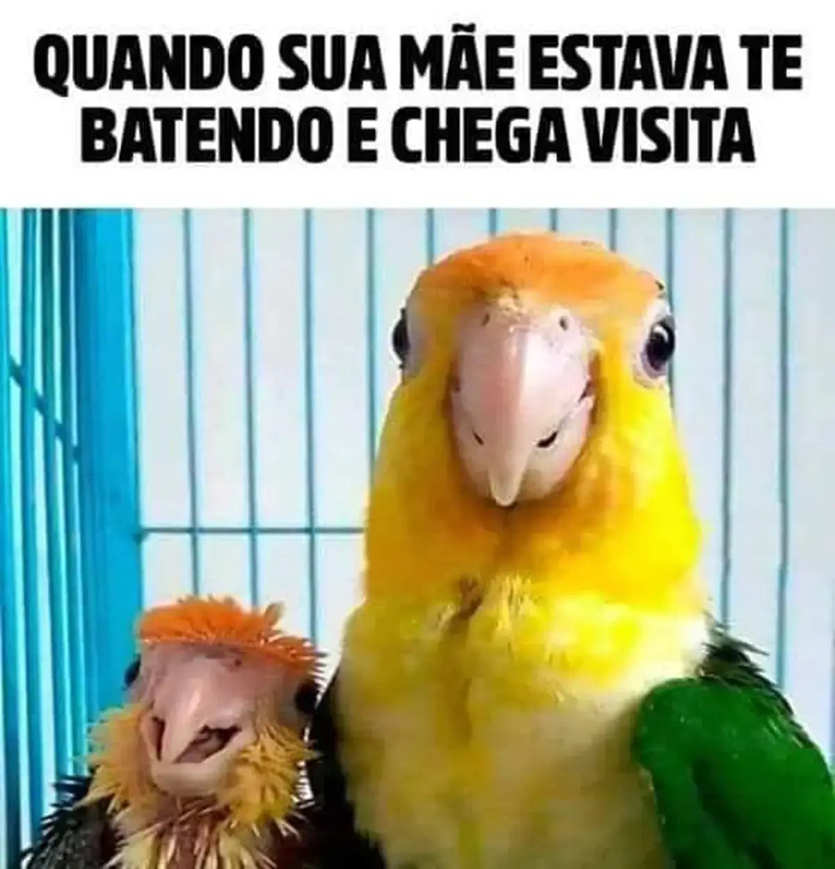 Quando a visita chega