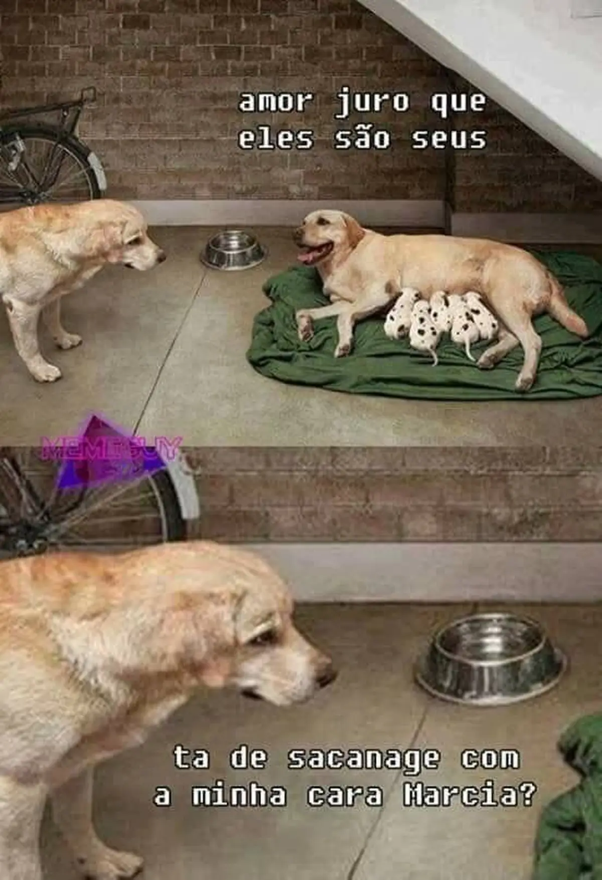 Ta de sacanagem com a minha cara Marcia