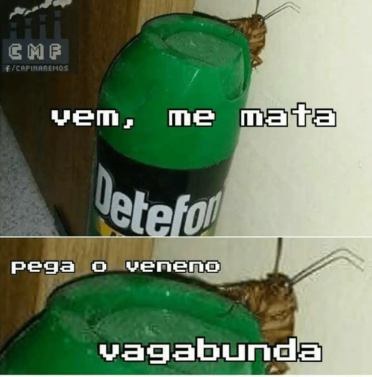 Vem me mata pega o veneno kkkk