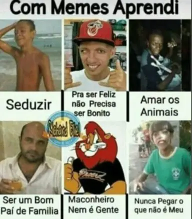O que eu aprendi com os memes
