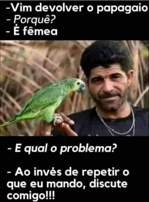 Vim devolver o papagaio porque e femea