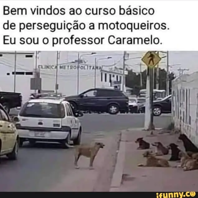 Bem vindos ao curso