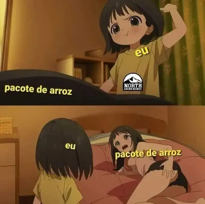 Eu e o pacote de arroz