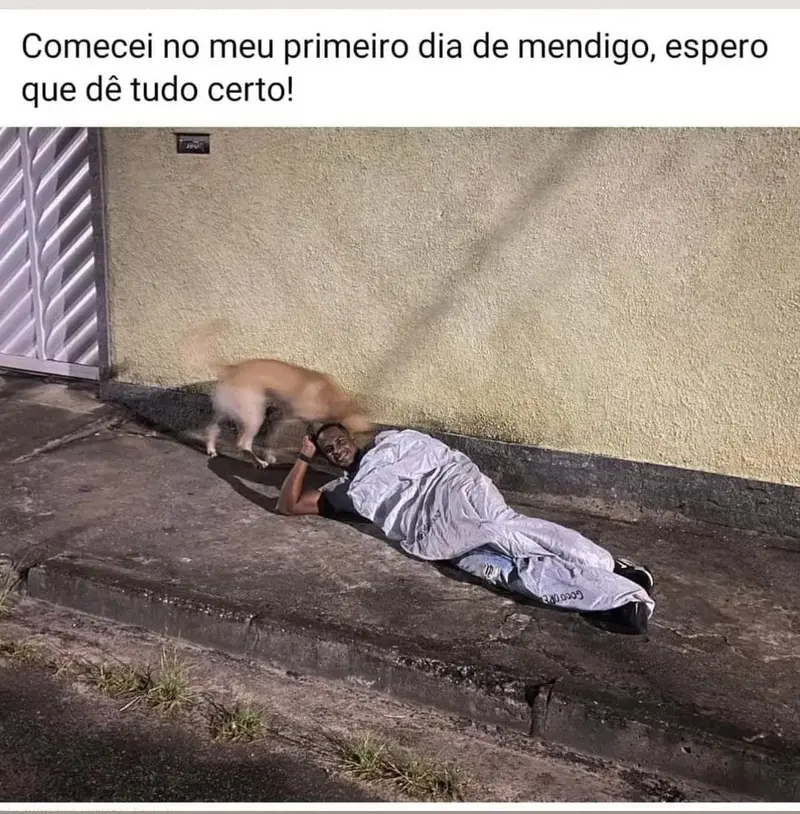 Primeiro dia como mendigo meme Primeiro dia como mendigo meme
