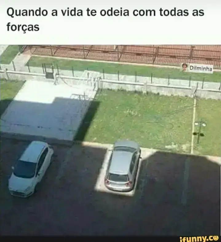 Quando a vida te odeia com todas as forcas