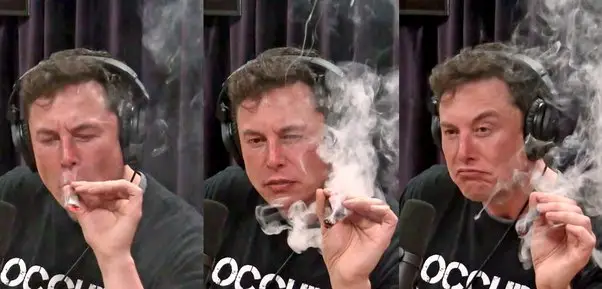 Linha do tempo da vida de Elon Musk 4 Elon Musk Maconheiro