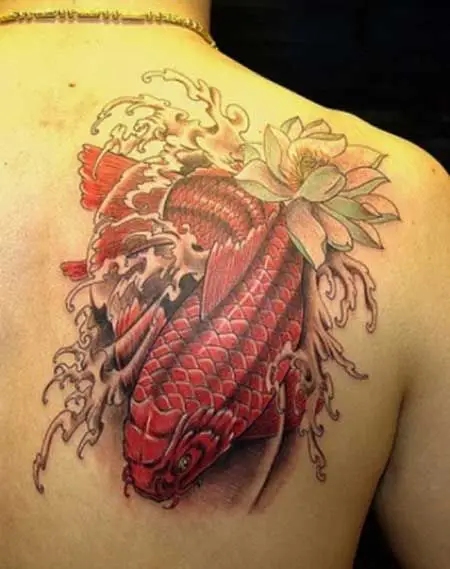 Tatuagem de Carpa Pcc