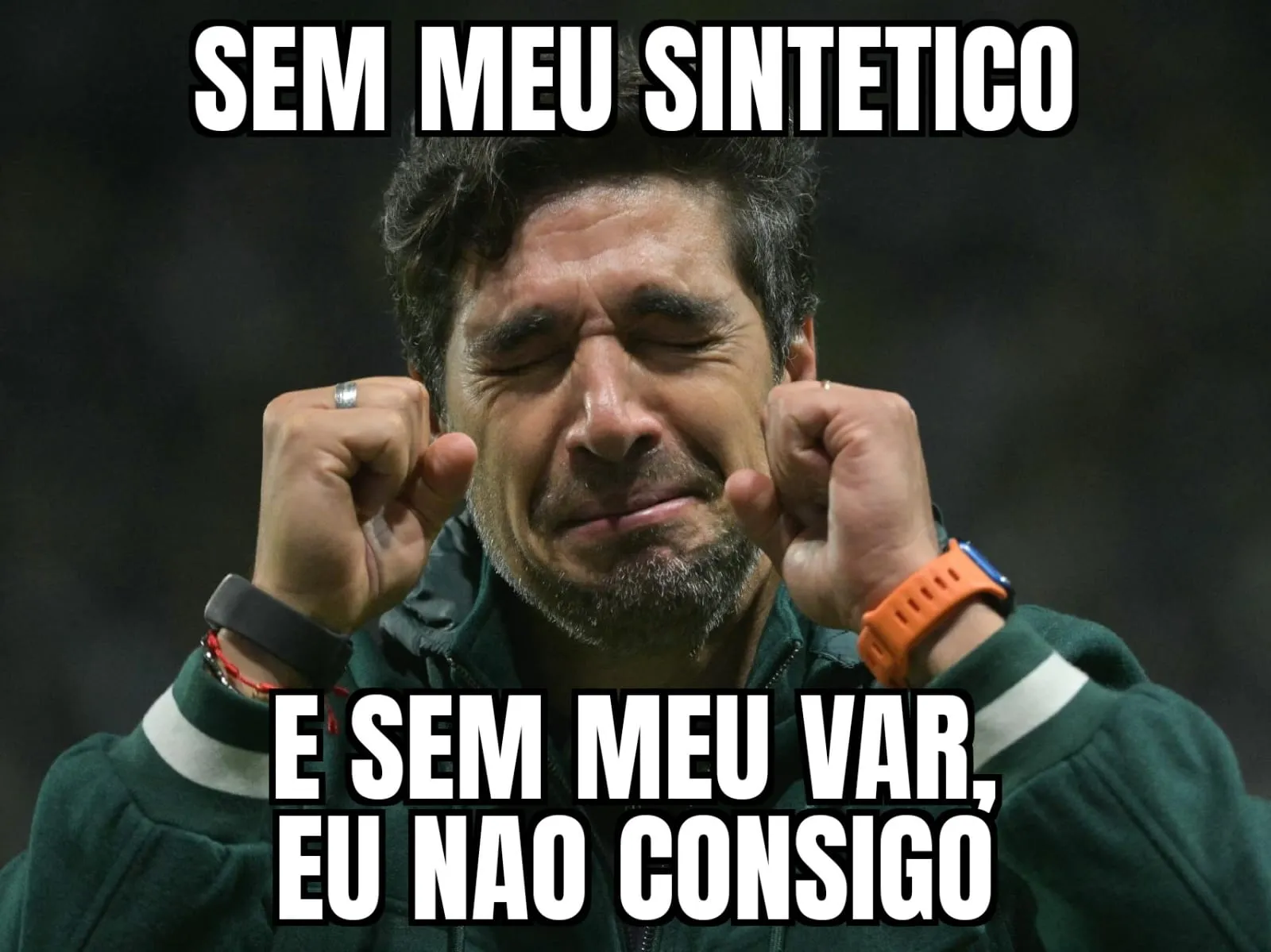 Zuando o Palmeiras de Abel Ferreira