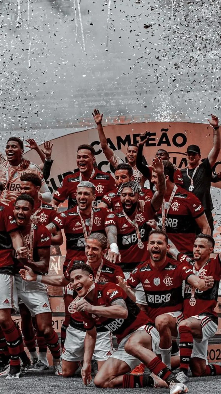 Flamengo Campeao libertadores