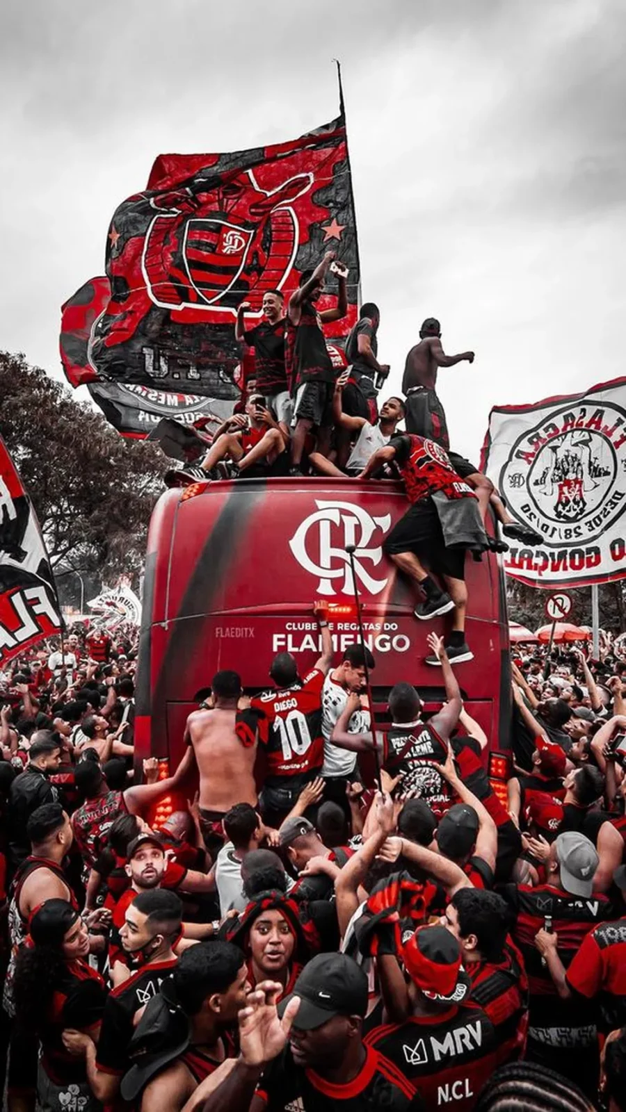 Flamengo Campeao libertadores