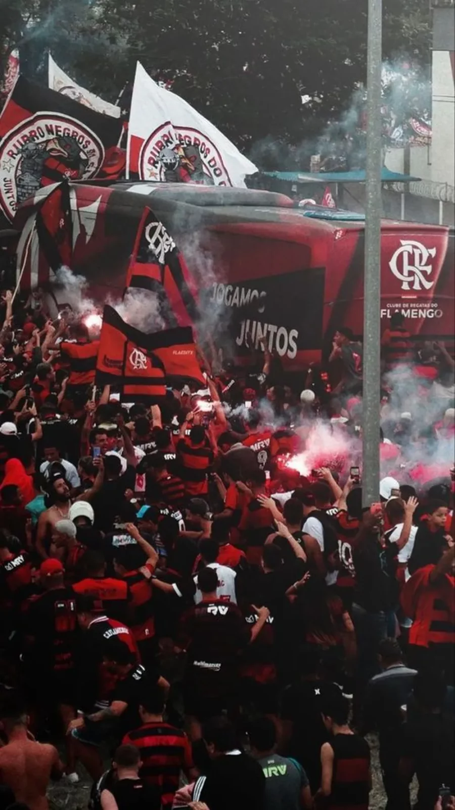 Flamengo Campeao libertadores
