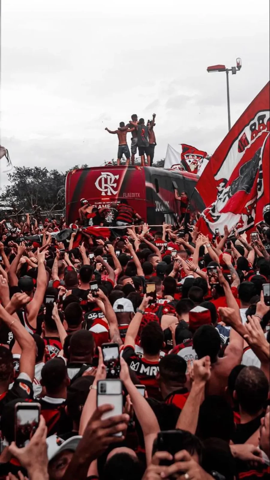 Flamengo Campeao libertadores
