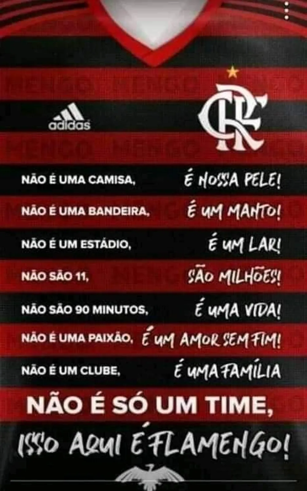 Flamengo Campeao libertadores