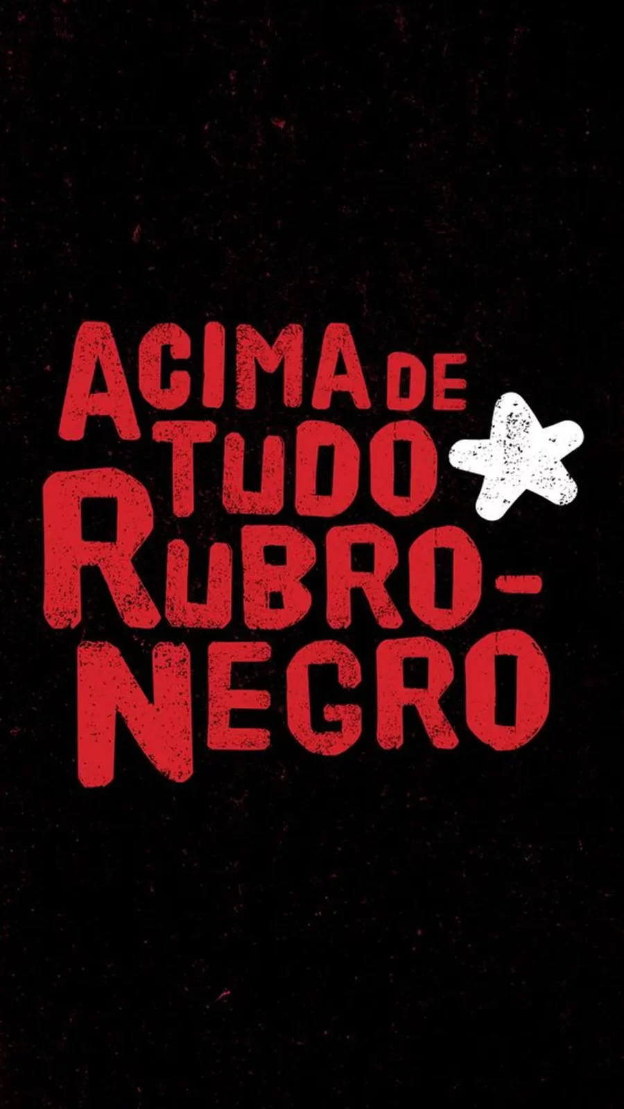 Flamengo Campeao libertadores