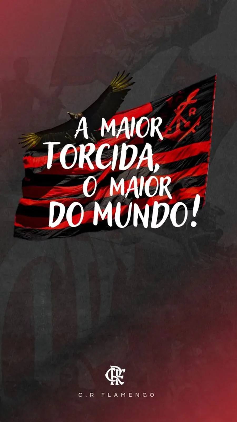 Flamengo Campeao libertadores