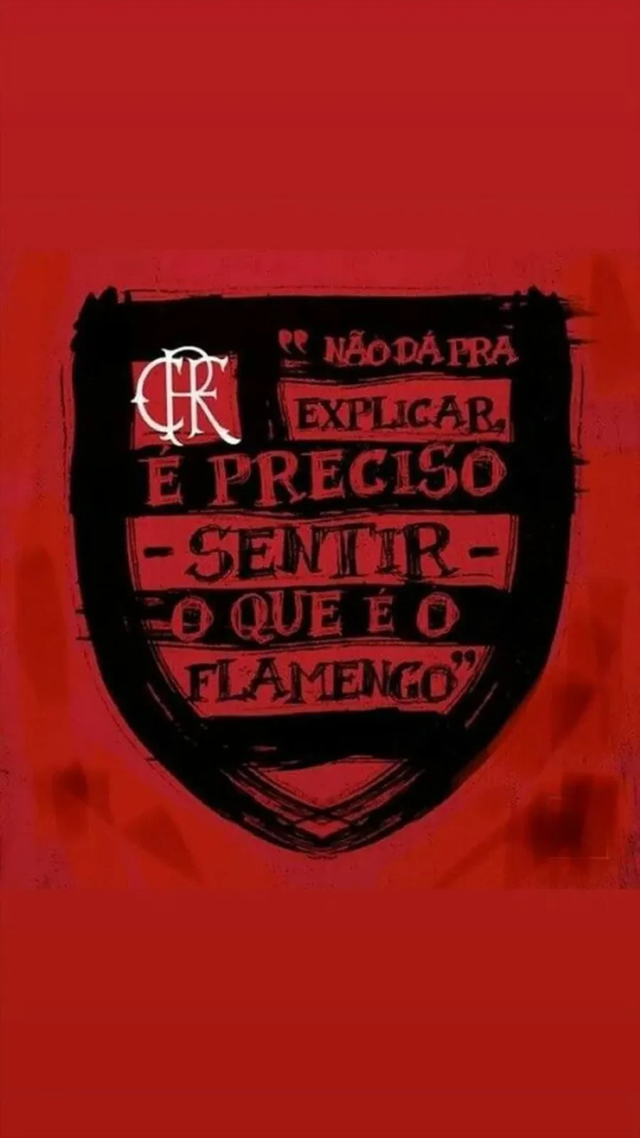Flamengo Campeao libertadores