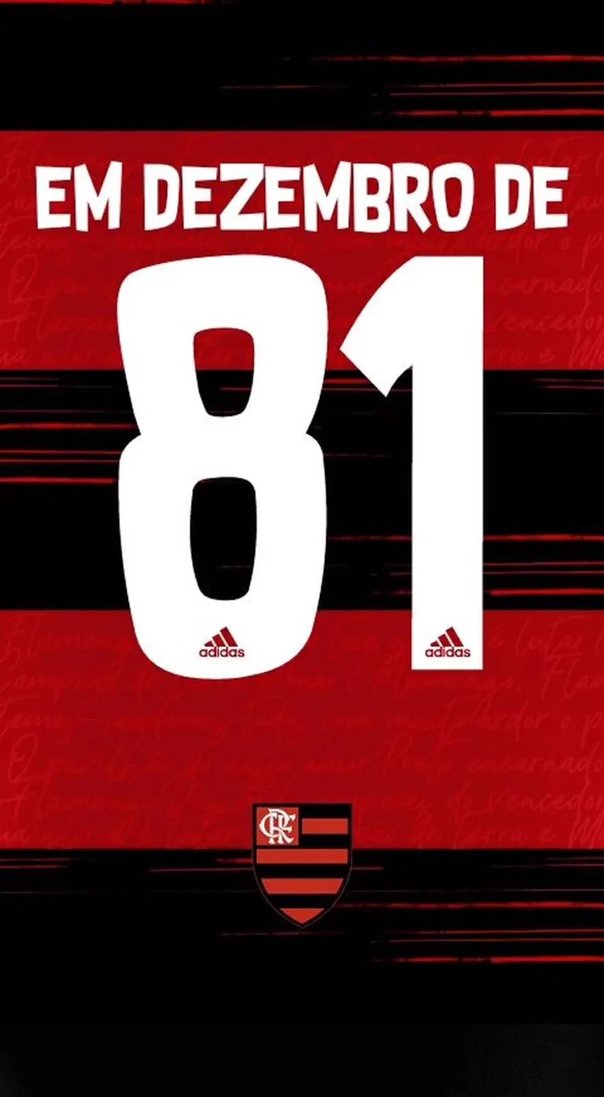 Flamengo Campeao libertadores