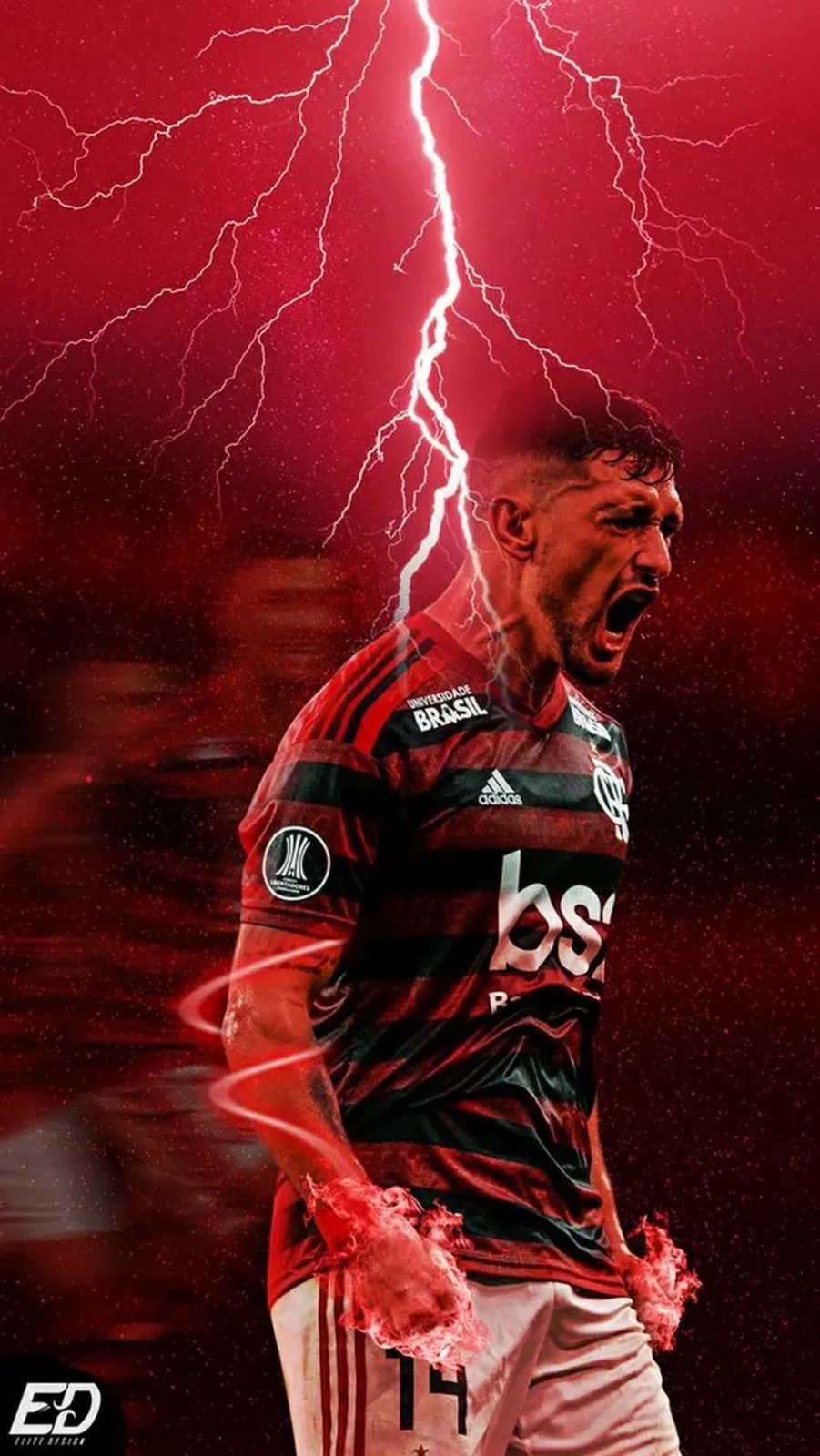 Flamengo Campeao libertadores