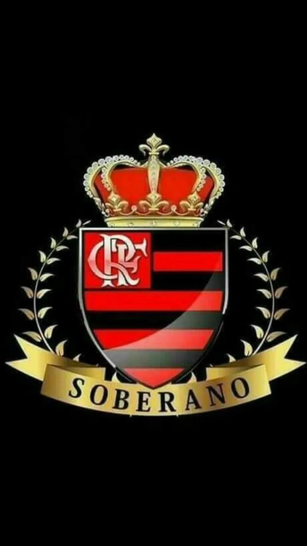 Flamengo Campeao libertadores
