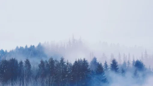 44 Wallpapers do Grupo Coreano BTS - Imagens full HD 4K 14 BTS Wallpaper Resultado