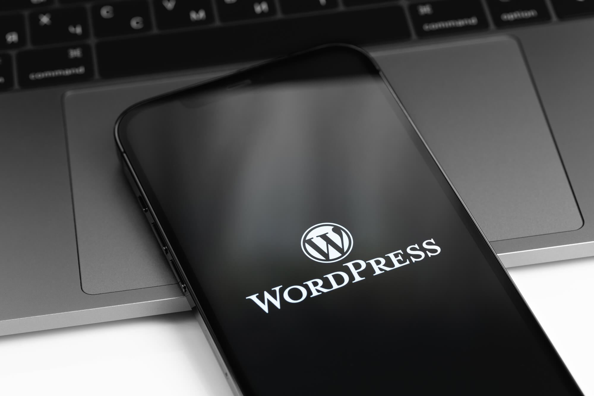 WordPress 20 anos WordPress 20 anos